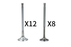 Válvulas Kit Fazer VW Audi 058109601C 058109611M B18636 Borsehung
