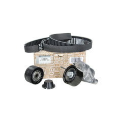 Tensor da Correia Original 117202245R Renault