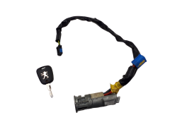 Canhão de Ignição Peugeot 206 N0501539 4162Z1 Valeo 1082