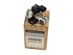 Grampo terminal Renault Dacia 250825784R Original