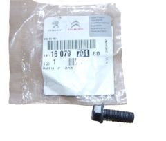 Parafuso Novo Original 1607970180 Citroen Peugeot