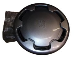 Tampão 14' Original 541619 5416.19 Peugeot
