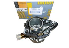 Bomba de Vácuo Original Renault Megane Trafic 1.9 dCi 8200031420