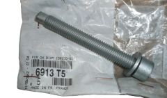 Parafuso 10X150-80 Novo Original 6913.T5 6913T5 Citroen Peugeot