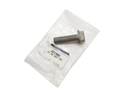 Parafuso Renault 8200689705 Original