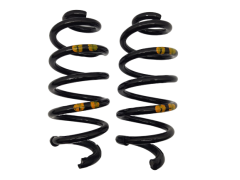 Molas de suspensão Direita/Esquerda Traseira Captur 550201130R Renault