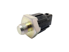 Sensor de Detonação Novo Original Renault 2206000Q0B