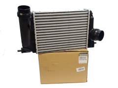 Intercooler Renault 144614EA1B Novo Original