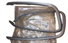 Friso do Parachoque Esquerda Direita Original 1622709380 Citroen
