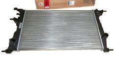 Radiador do Motor Novo Original 214105150R Renault Megane 3 Scenic 3