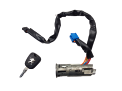 Canhão de Ignição Peugeot 206 N0501539 4162Z1 Valeo CA1002