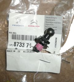 Parafuso Siłownika Klapy Novo Original 8733.71 8733.71 Citroen C1
