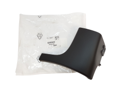 Friso soleira Citroen Peugeot 9685801077 7010X4 Original