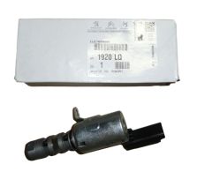Válvula Distribuição Original Citroen Peugeot 1.8-2.0 16v 1920LQ