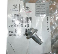 Parafuso Novo Original 9164.73 916473 Citroen Peugeot