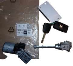 Canhão de Ignição Completo Novo Original 9677415380 Peugeot 308