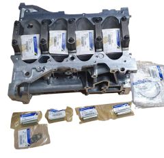 Bloco do Motor Novo Original 2.0 16V 110107443R Renault