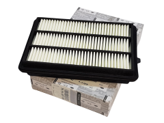 Filtro Ar Renault 165467FV0A Original