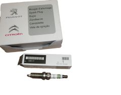 Vela de ignição Novo Original 5960.G1 5960G1 Citroen Peugeot