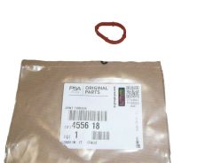 Junta, vedação Pompy Vacum Novo Original 4556.18 455618 Citroen Peugeot