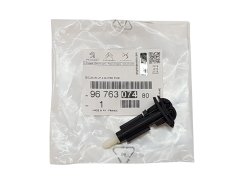 Esguicho Lavagem Original Citroen C4 Picasso 9676307480