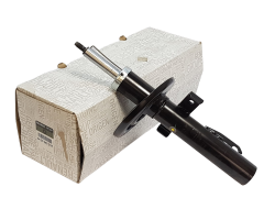 Amortecedor Frente Renault Clio 4 543024021R Novo Original