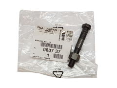 Parafuso Citroen Peugeot 060737 0607.37 Original