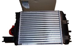 Intercooler Novo Original 144967634R Renault Dacia