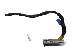 Canhão de Ignição Peugeot 206 N0501539 4162Z1 Valeo 14929