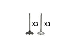 Válvula Kit 038109601E 038109611E B18765 VW Audi Seat Skoda Borsehung