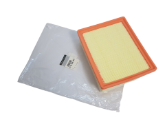 Filtro Ar Renault Opel Nissan 165460835R Original