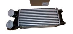 Intercooler Novo Original 9800291280 Citroen Peugeot