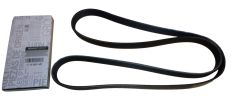 Correia do Alternador Original 7PK 117208314R Renault