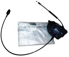 ren8200384981