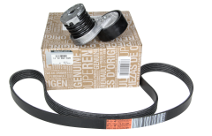 Tensor da Correia 117209336R Renault