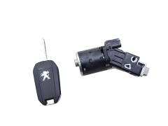 Canhão de Ignição Peugeot 208 2008 9673257480 9674001080 2