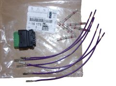 Plugue Novo Original 1617550580 Citroen Peugeot
