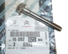 Parafuso Kolektora Ssącego Novo Original 1608202580 Citroen Peugeot