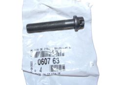 Parafuso Novo Original 060763 0607.63 Citroen Peugeot