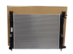 Radiador do Motor Renault Dacia 214107326R Original