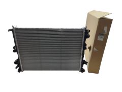 Radiador do Motor Original 214103657R Renault