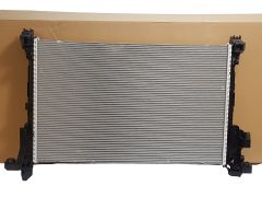 Radiador do Motor Renault 214106419R Original