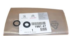 Juntas, vedações Wtrysku Novo Original 1981.47 198147 Citroen Peugeot