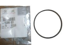 Junta, vedação Pompy Wody Novo Original 1206.G3 1206G3 Citroen Peugeot