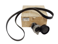 Tensor da Correia Dacia 117203804R Original