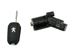 Canhão de Ignição Peugeot 208 36.454.600 1608682880 9674001080