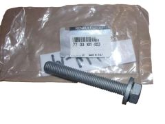 Parafuso Novo Original 12x175 7703101463 Renault