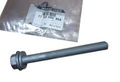 Parafuso Original 7703002868 Renault