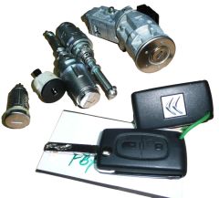 Canhão de Ignição Completo Original 4162.FP 4162FP Citroen C3 II