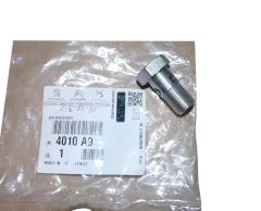 Parafuso Novo Original 4010A9 4010.A9 Citroen Peugeot
